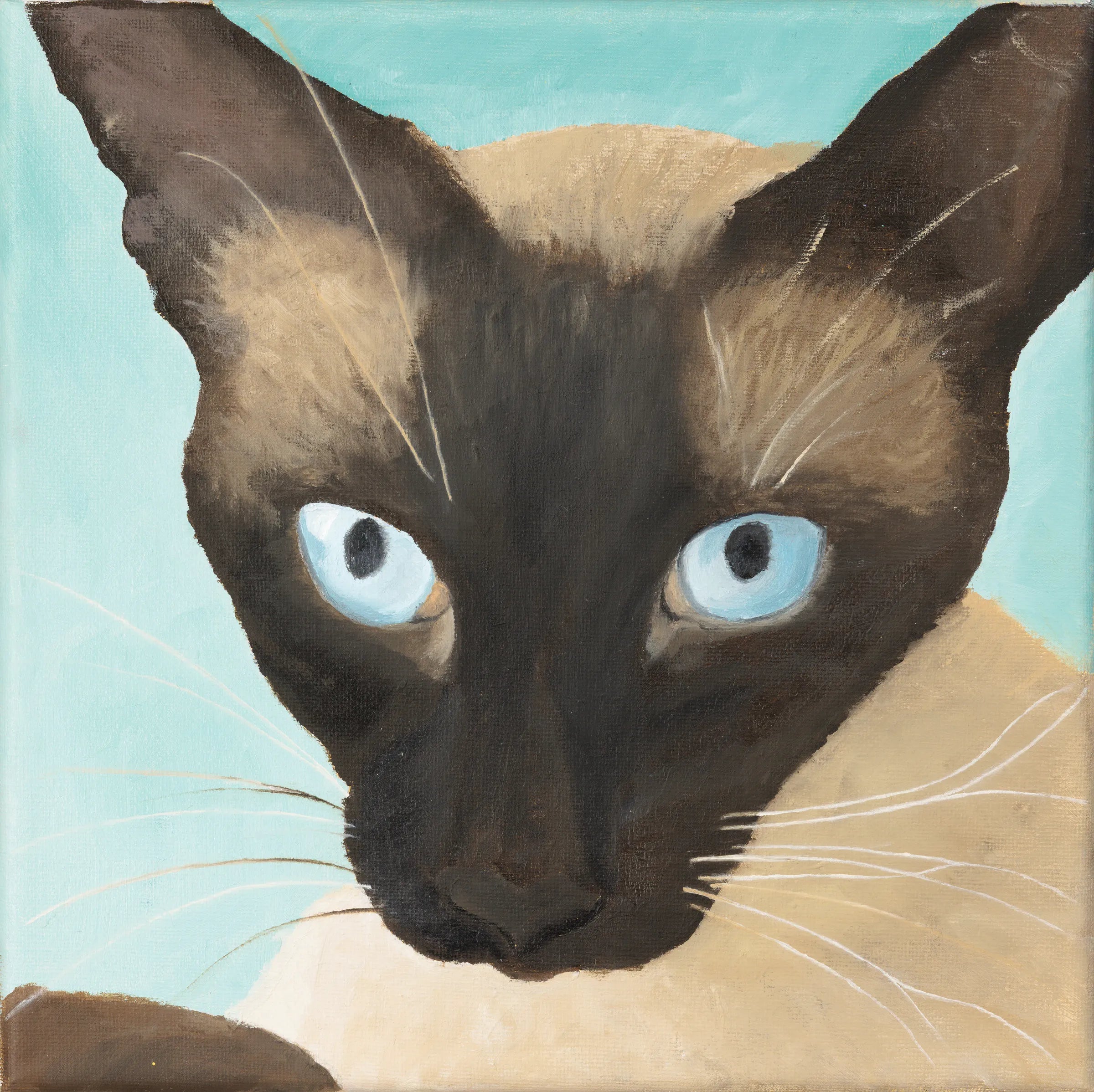2026-14 Castiel - detail view